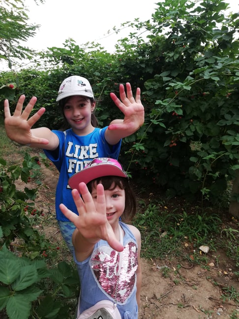 67495750_2375401429397569_7664269260247531520_n